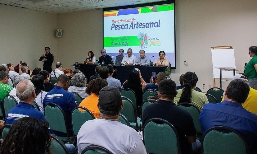 plenária PNPA